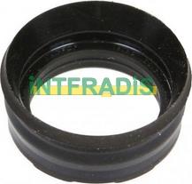 INTFRADIS 10601 - Blīve, Sprauslas korpuss www.autospares.lv