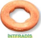 INTFRADIS 10198 - Blīve, Sprauslas korpuss www.autospares.lv