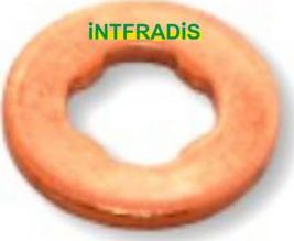 INTFRADIS 10149 - Blīve, Sprauslas korpuss www.autospares.lv