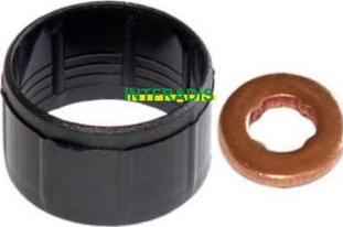 INTFRADIS 10148 - Degvielas vads www.autospares.lv