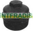 INTFRADIS 2996 - Cap, oil filter housing www.autospares.lv