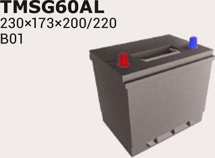 IPSA TMSG60AL - Starter Battery www.autospares.lv