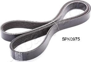 Japanparts DV-5PK0975 - Поликлиновой ремень www.autospares.lv