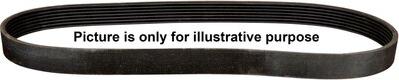 JP Group 1118100100 - V-Ribbed Belt www.autospares.lv