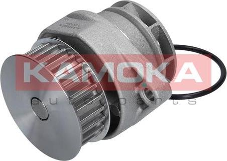 Kamoka T0026 - Ūdenssūknis autospares.lv