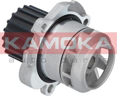 Kamoka T0251 - Водяной насос www.autospares.lv