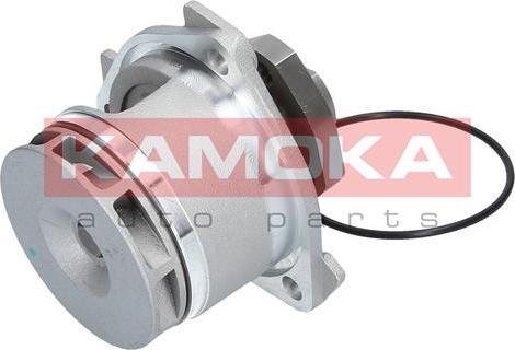 Kamoka T0234 - Ūdenssūknis autospares.lv