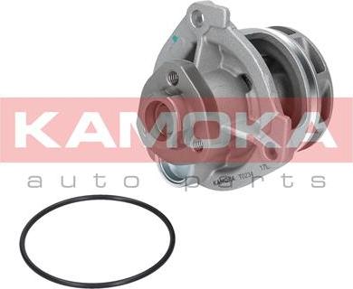 Kamoka T0234 - Ūdenssūknis autospares.lv