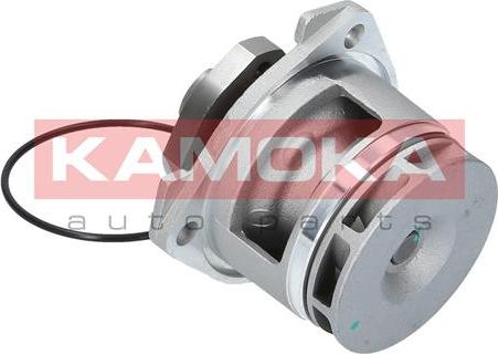 Kamoka T0234 - Ūdenssūknis autospares.lv