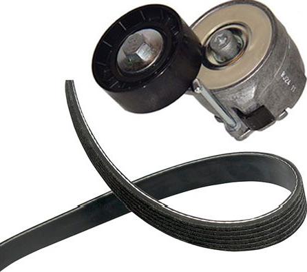 Kavo Parts DKM-8501 - Ķīļsiksnas komplekts www.autospares.lv