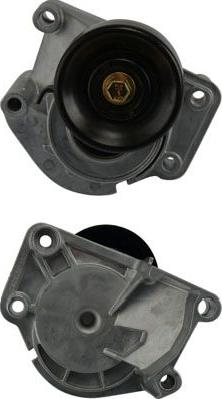 Kavo Parts DTP-9009 - Parazīt / Vadrullītis, Ķīļrievu siksna www.autospares.lv