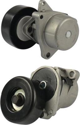 Kavo Parts DTP-6548 - Parazīt / Vadrullītis, Ķīļrievu siksna www.autospares.lv