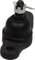 Kavo Parts SBJ-4019 - Ball Joint www.autospares.lv