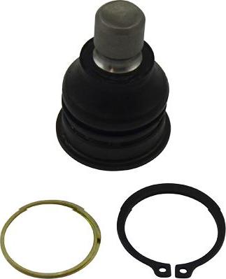 Kavo Parts SBJ-6541 - Ball Joint www.autospares.lv