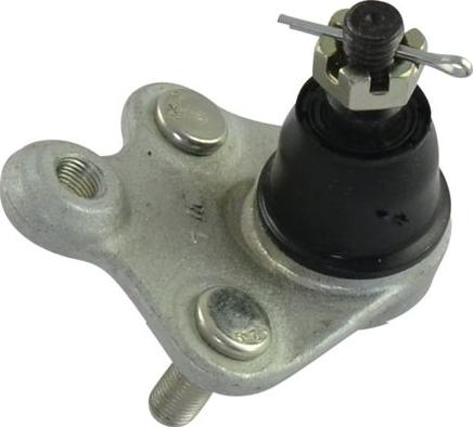 Kavo Parts SBJ-2029 - Balst / Virzošais šarnīrs autospares.lv