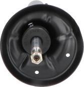 Kavo Parts SSA-10452 - Amortizators www.autospares.lv