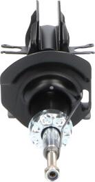 Kavo Parts SSA-10097 - Shock Absorber www.autospares.lv