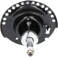 Kavo Parts SSA-10219 - Shock Absorber www.autospares.lv