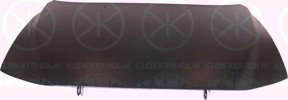 Klokkerholm 9021281 - Motora pārsegs www.autospares.lv