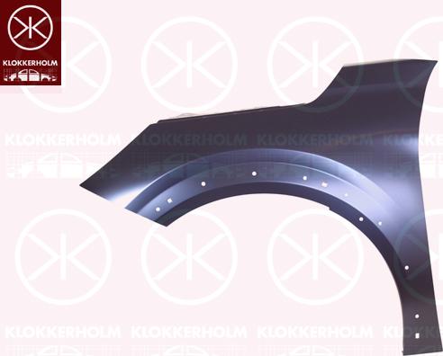 Klokkerholm 5511313A1 - Spārns www.autospares.lv