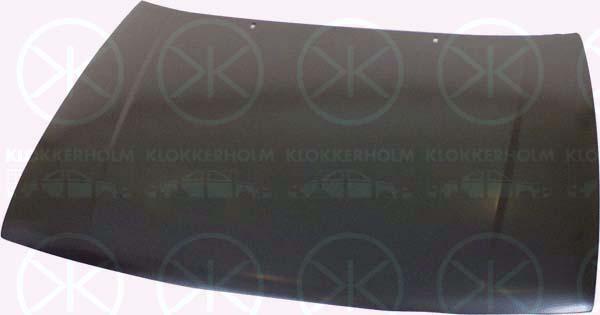 Klokkerholm 6607280 - Motora pārsegs www.autospares.lv