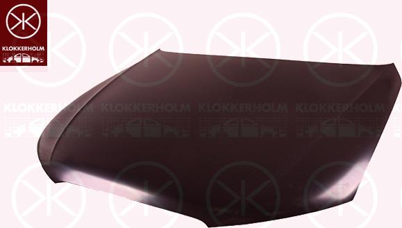 Klokkerholm 0029281A1 - Bonnet, hood www.autospares.lv