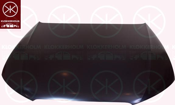 Klokkerholm 0029281 - Motora pārsegs www.autospares.lv