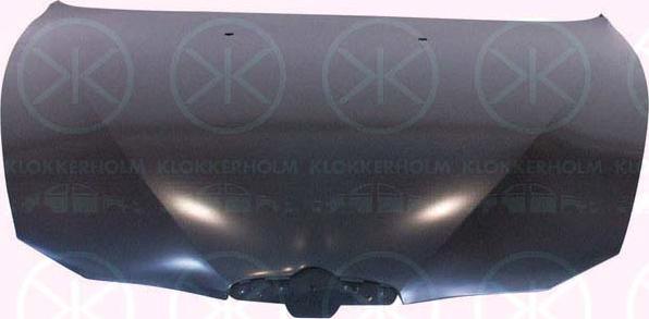 Klokkerholm 0109284 - Motora pārsegs www.autospares.lv