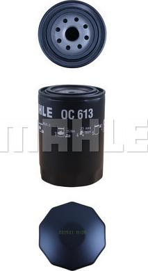 KNECHT OC 613 - Oil Filter www.autospares.lv