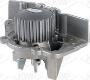 KWP 101254 - Water Pump www.autospares.lv