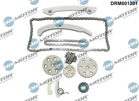 Lizarte DRM601201 - Sadales vārpstas piedziņas ķēdes komplekts www.autospares.lv