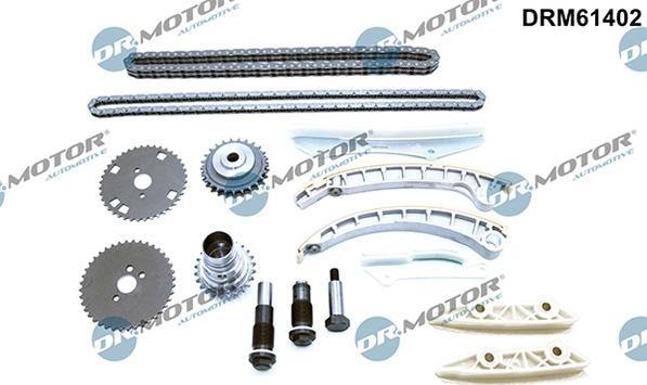 Lizarte DRM61402 - Sadales vārpstas piedziņas ķēdes komplekts www.autospares.lv