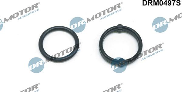 Lizarte DRM0497S - Blīvju komplekts, Eļļas radiators www.autospares.lv