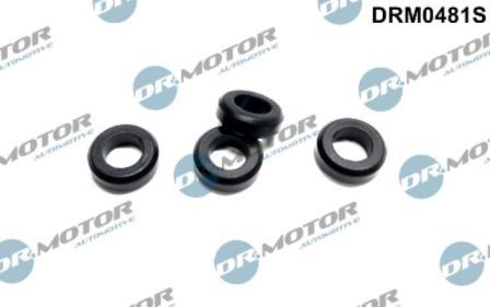 Lizarte DRM0481S - Blīve, Sprauslas korpuss www.autospares.lv