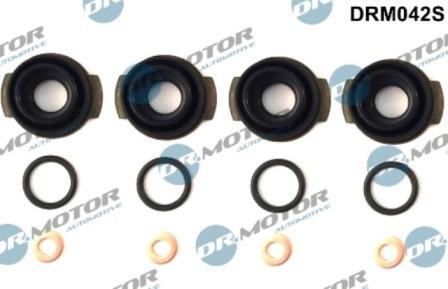 Lizarte DRM042S - Blīvju komplekts, Iesmidzināšanas sprausla www.autospares.lv