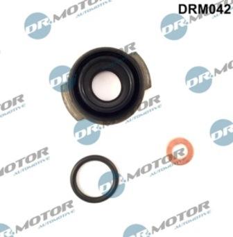 Lizarte DRM042 - Blīvju komplekts, Iesmidzināšanas sprausla www.autospares.lv