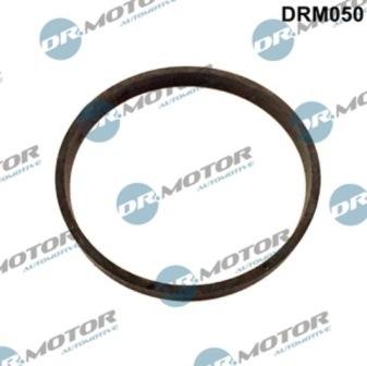 Lizarte DRM050 - Blīve, Izplūdes gāzu recirkulācijas vārsts www.autospares.lv