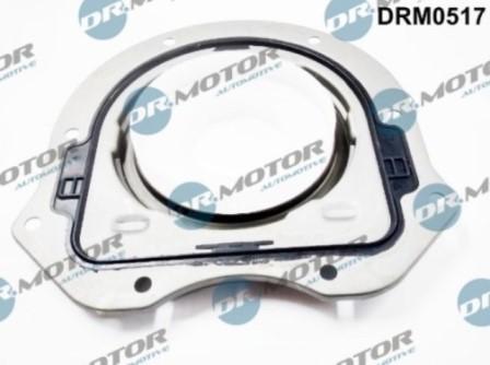 Lizarte DRM0517 - Vārpstas blīvgredzens, Kloķvārpsta www.autospares.lv