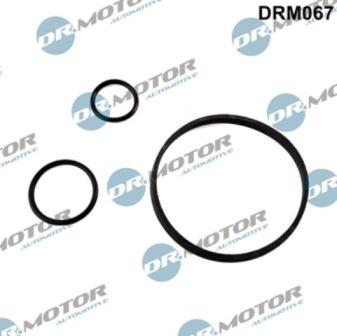 Lizarte DRM067 - Blīvju komplekts, Eļļas radiators www.autospares.lv