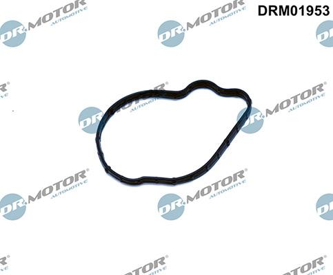 Lizarte DRM01953 - Blīve, Degvielas augstspiediena sūknis www.autospares.lv