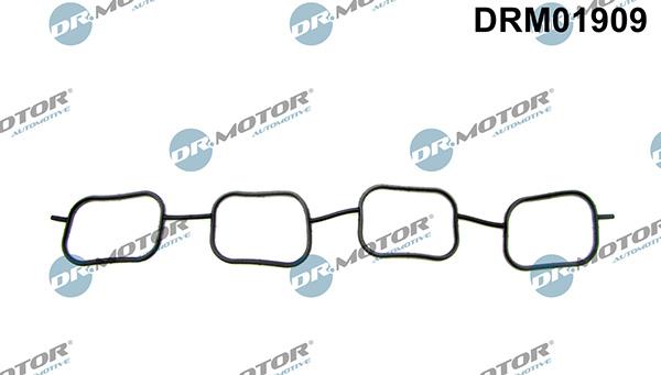 Lizarte DRM01909 - Blīve, Ieplūdes kolektors www.autospares.lv