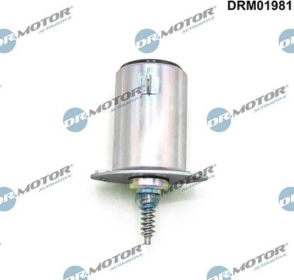 Lizarte DRM01981 - Vadības vārsts, Sadales vārpstas iestatīšana www.autospares.lv