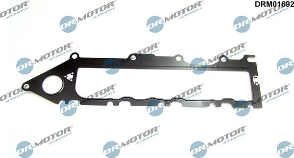 Lizarte DRM01692 - Blīve, Ieplūdes kolektors www.autospares.lv