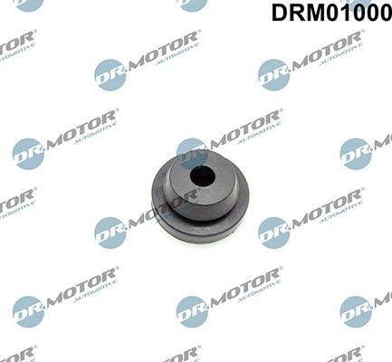 Lizarte DRM01000 - Spilvens, Gaisa filtrs www.autospares.lv