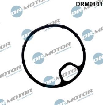 Lizarte DRM0101 - Blīve, Eļļas filtra korpuss www.autospares.lv