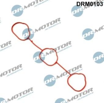 Lizarte DRM0103 - Blīve, Ieplūdes kolektors www.autospares.lv