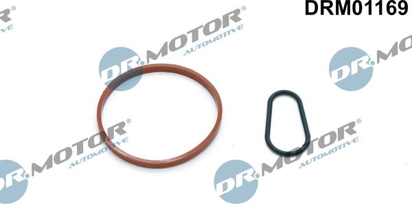 Lizarte DRM01169 - Blīvju komplekts, Vakuumsūknis www.autospares.lv