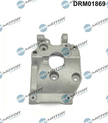 Lizarte DRM01869 - Kronšteins, Kompresors www.autospares.lv