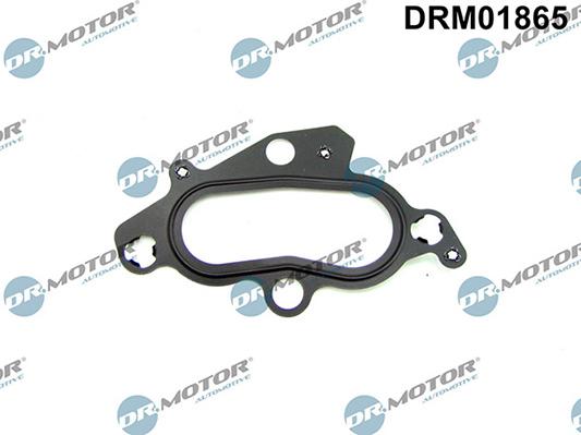 Lizarte DRM01865 - Blīve, Termostata korpuss www.autospares.lv