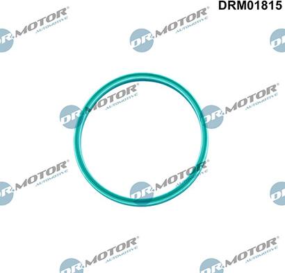 Lizarte DRM01815 - Blīvgredzens, Gaisa pūtes caurule www.autospares.lv